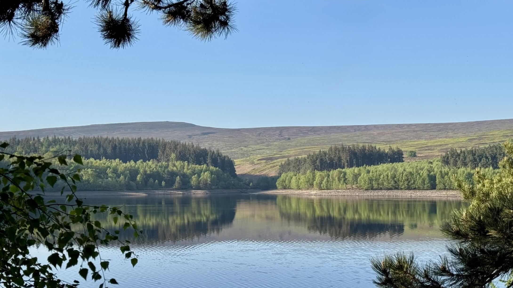 Reserviour and trees at the otherside