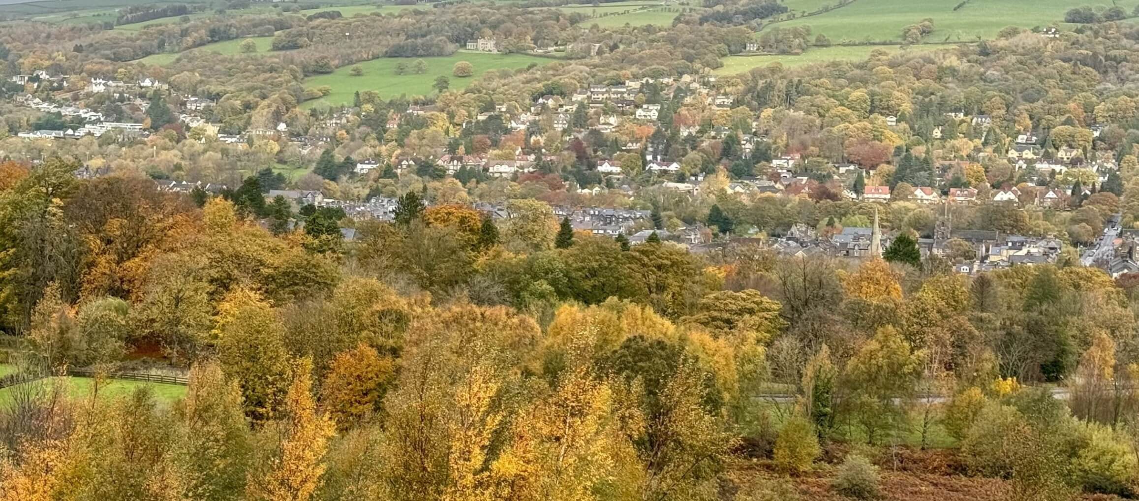Perspective from a hill overlooking trees and a town