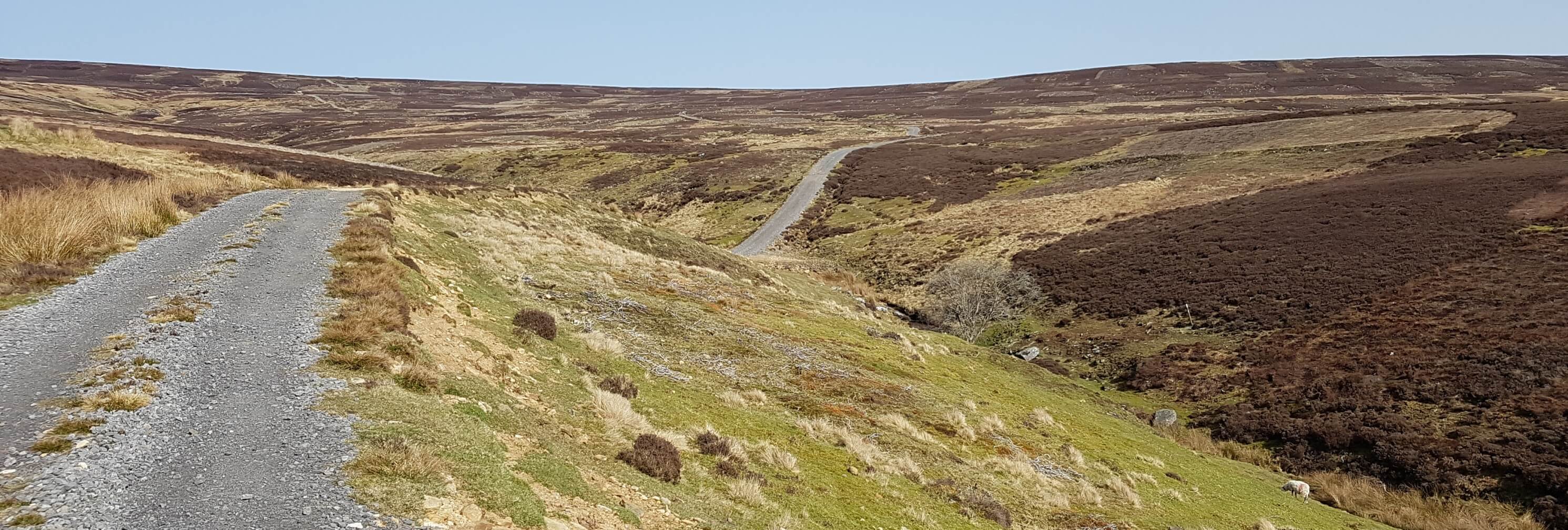 Hilly moors path