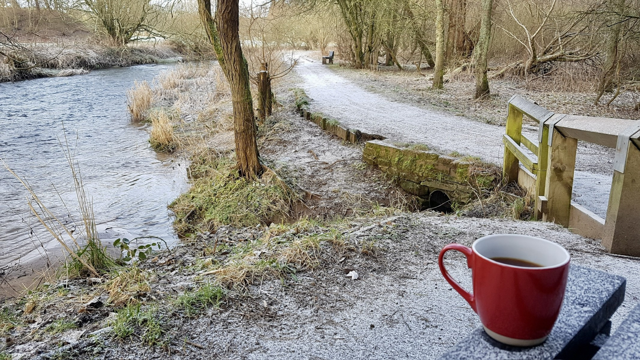 Coffee cup on a frosty bench and river and path