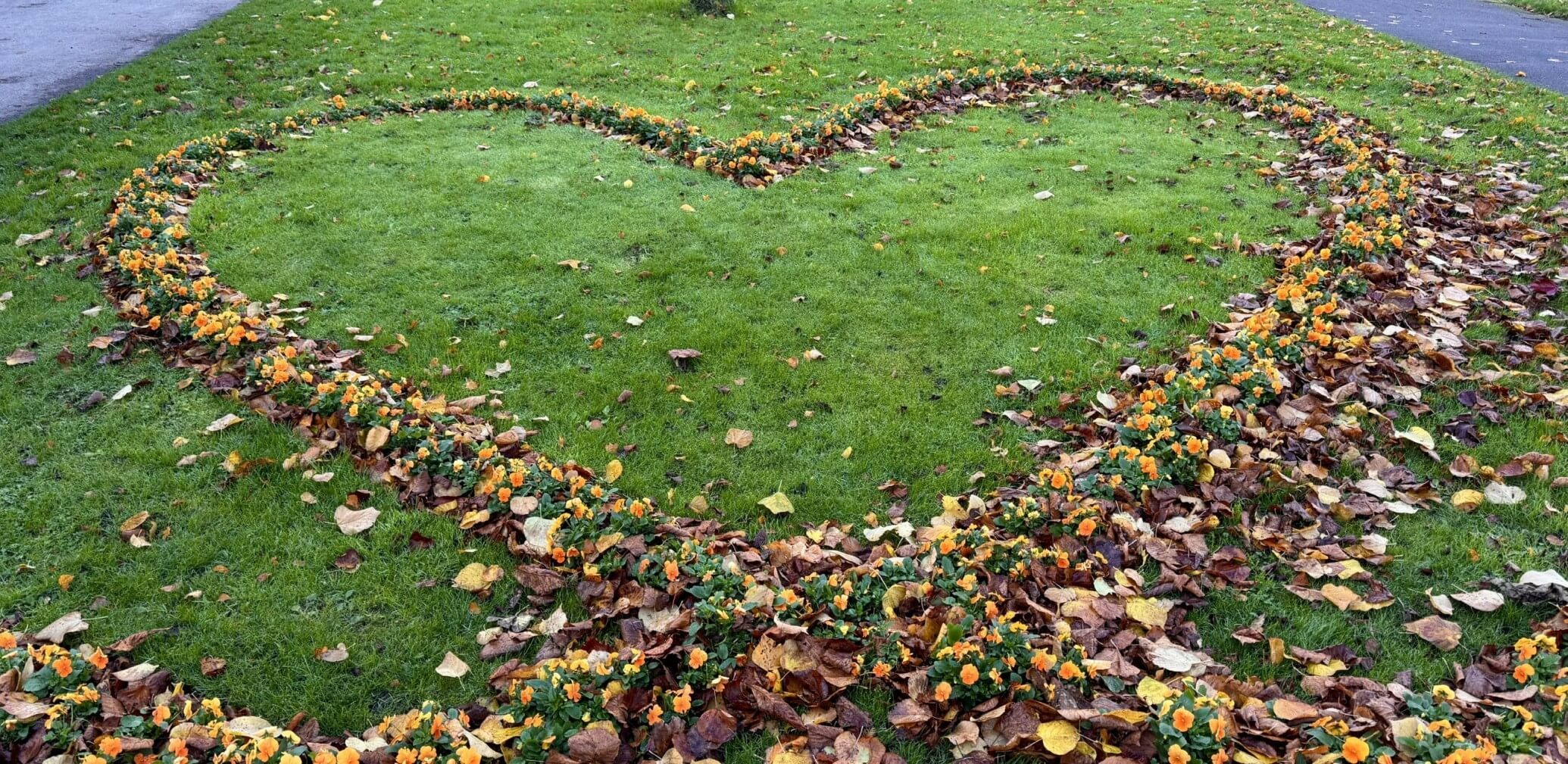 Heart shape made from fallen leaves