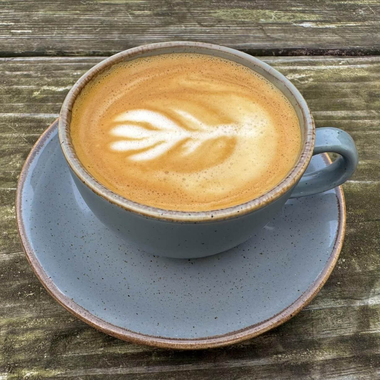 Cappachino in a blue cup