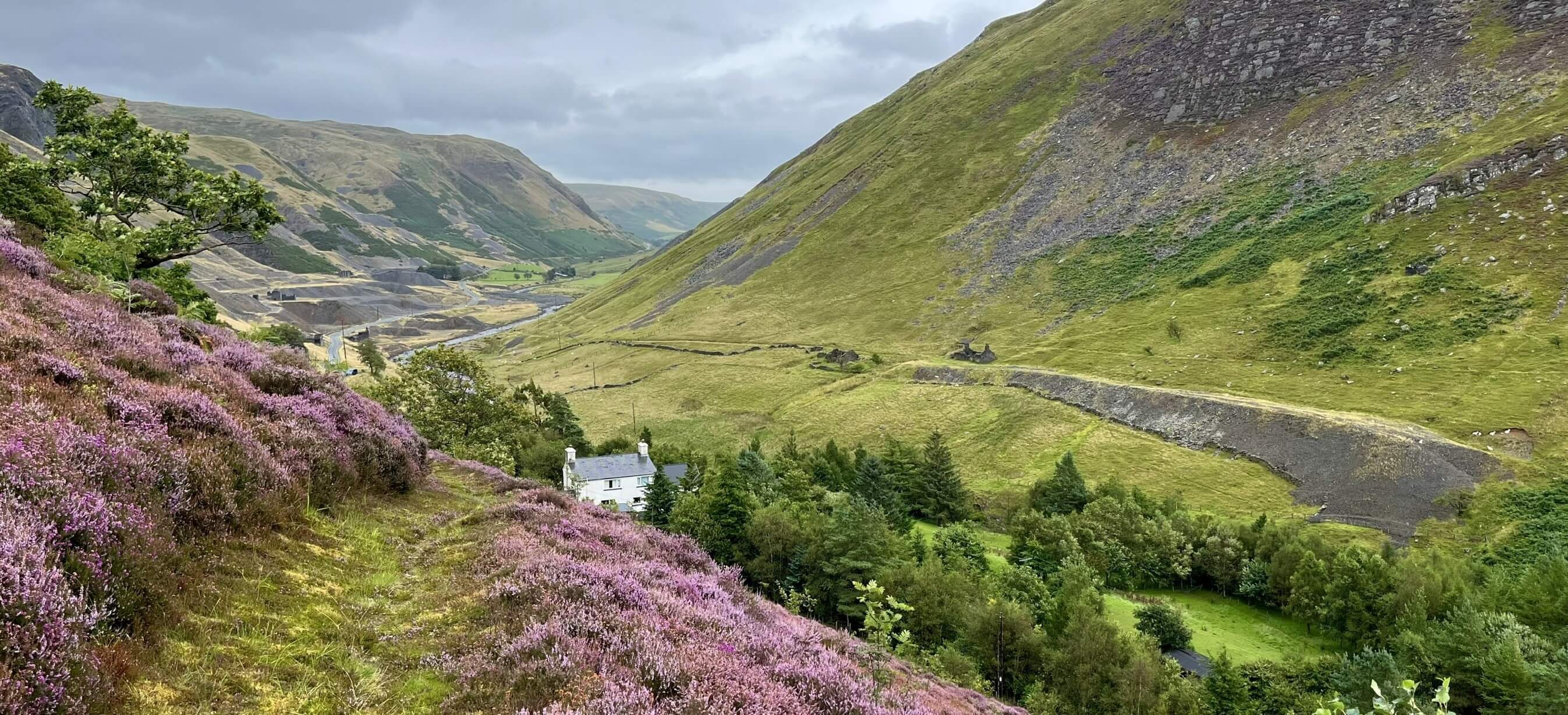 View from a hill of heather, valley and a house