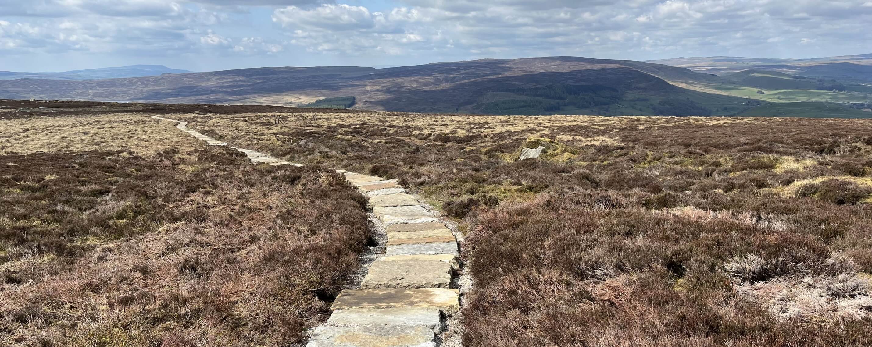 Path high up on the moors