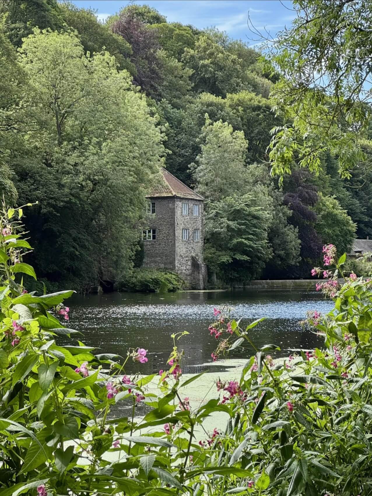 Durham river surrounded by trees
